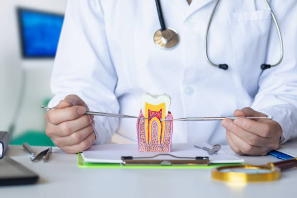 Best Emergency Dentist for Knocked-Out Tooth in Wheeler, TX